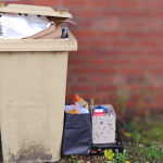 "Bins not collected since July – and the council blamed me for it”