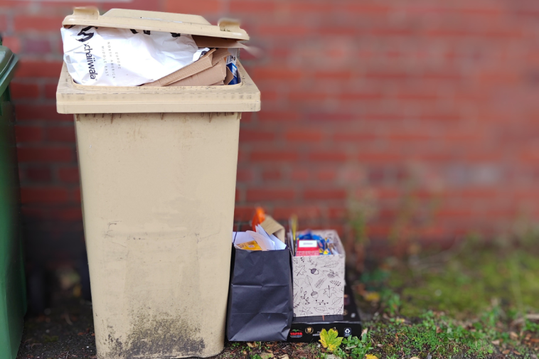 "Bins not collected since July – and the council blamed me for it”