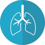 lungs