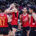 PLDT High Speed Hitters PVL