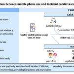 New research shows regular mobile phone use can increase the risk of cardiovascular diseases, especially in smokers and people with diabetes