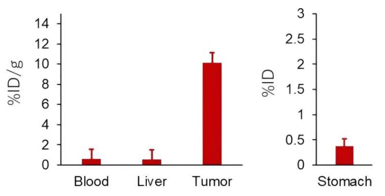 Targeted cancer therapies: Getting radioactive atoms to accumulate in tumors