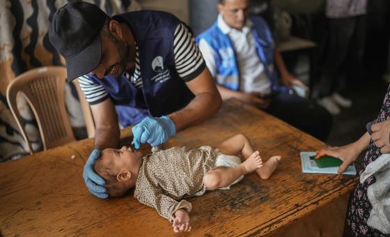 UN officials repeat calls for peace as Gaza polio vaccinations gets underway