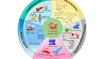 New review suggests evaluating a Tibetan medicinal herb as potential treatment for mild cognitive impairment