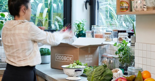 Image of woman unpacking her Oddbox