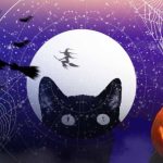 Tarot reveals the spooky omen your star sign should look out for this Halloween - horoscope