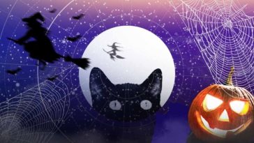 Tarot reveals the spooky omen your star sign should look out for this Halloween - horoscope