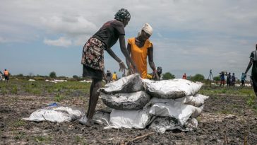 Hunger and cholera crises escalate in South Sudan, as needs surge