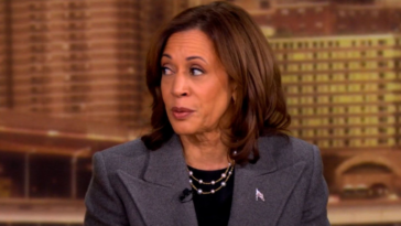 The nine words that saw Kamala Harris’ campaign unravel