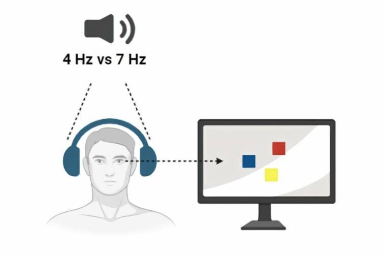 Study finds that sensory stimulation enhances the capacity of human visual working memory