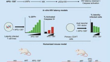 Tracking down and eliminating HIV dormant in the body: a major step forward