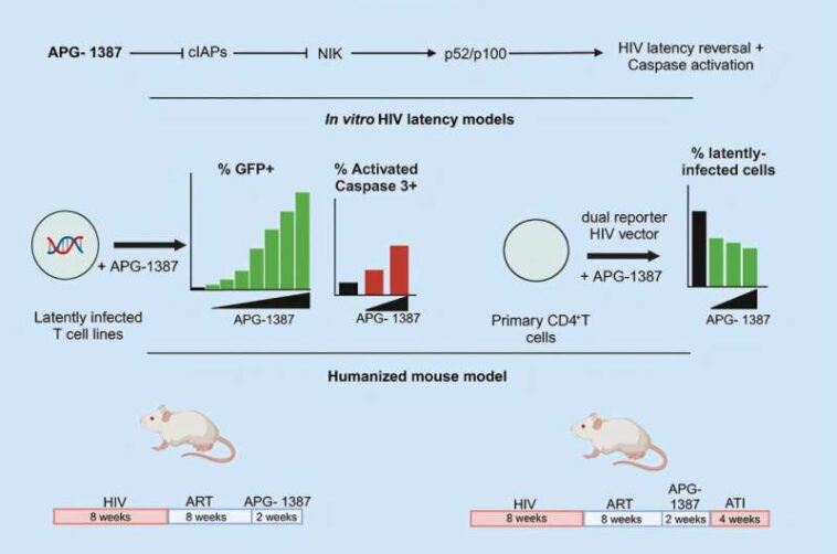 Tracking down and eliminating HIV dormant in the body: a major step forward