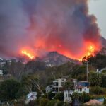 Elyse Walker, Palisades Village Area Businesses Damaged by California Fires