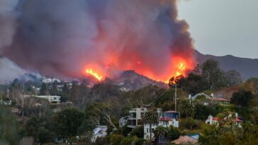 Elyse Walker, Palisades Village Area Businesses Damaged by California Fires