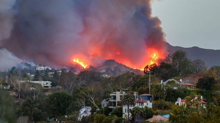 Elyse Walker, Palisades Village Area Businesses Damaged by California Fires