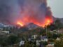 Elyse Walker, Palisades Village Area Businesses Damaged by California Fires