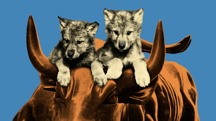 Meet the ambitious wolf cubs of Wall Street