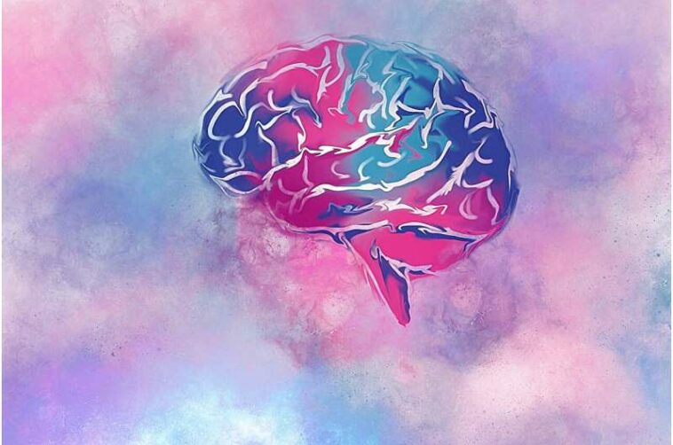 12 questions to ask yourself and your doctor to maintain brain health