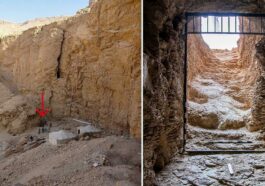 Egypt says unveils first king's tomb in over a century