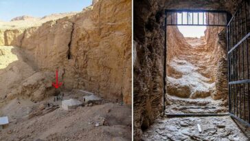 Egypt says unveils first king's tomb in over a century