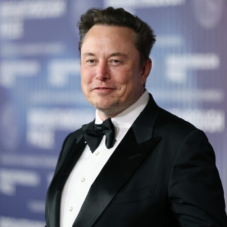 Elon Musk's Dad Errol Musk Slams Him for Alleged Bad Parenting - E! Online