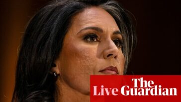 Tulsi Gabbard’s nomination as national intelligence director advances in key Senate committee vote – live