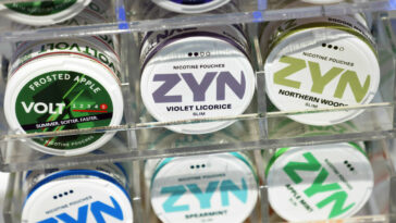 Zyn products on display in a shop.