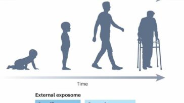 Modifiable risks powerful determinants of individual healthy life expectancy