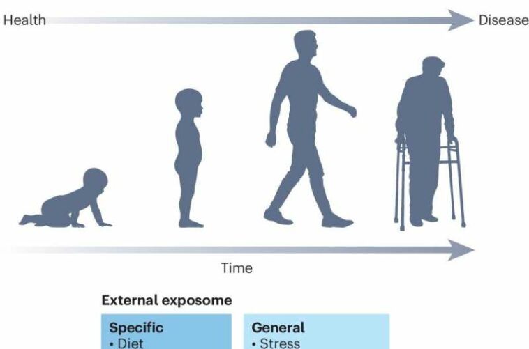 Modifiable risks powerful determinants of individual healthy life expectancy